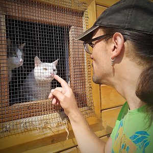 Книжный дом «Ремарк» — куратор приюта для бездомных животных «Весёлые Хвосты»