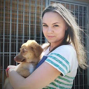 Книжный дом «Ремарк» — куратор приюта для бездомных животных «Весёлые Хвосты»