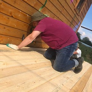 Книжный дом «Ремарк» — куратор приюта для бездомных животных «Весёлые Хвосты»