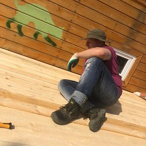 Книжный дом «Ремарк» — куратор приюта для бездомных животных «Весёлые Хвосты»