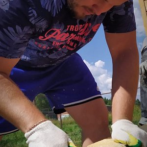 Книжный дом «Ремарк» — куратор приюта для бездомных животных «Весёлые Хвосты»