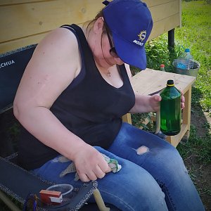 Книжный дом «Ремарк» — куратор приюта для бездомных животных «Весёлые Хвосты»