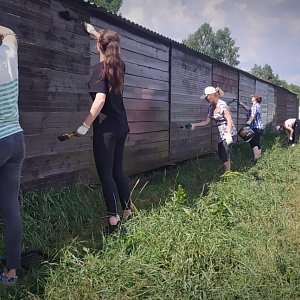 Книжный дом «Ремарк» — куратор приюта для бездомных животных «Весёлые Хвосты»