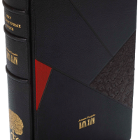 Джулия Уилрайт «Мата Хари»