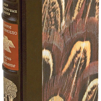 Генри Лонгфелло «Песнь о Гайавате»